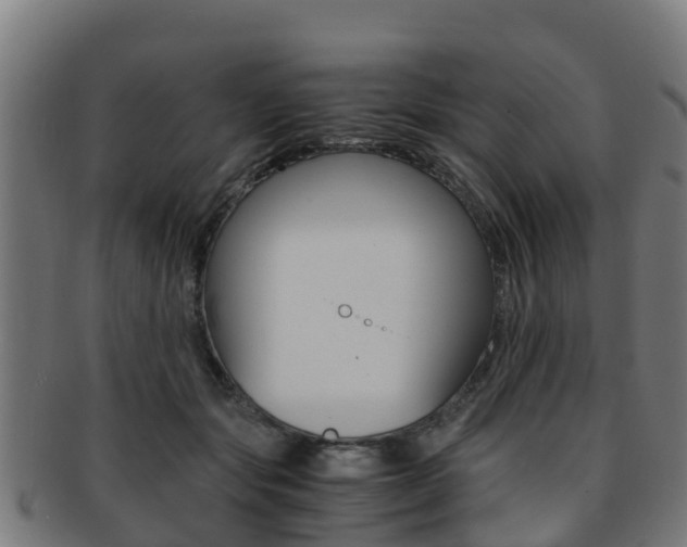 X0000091920557200709051233