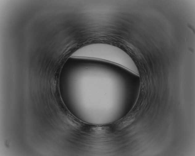 X0000091920558200709051233