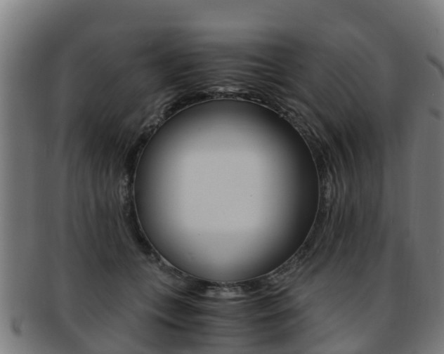X0000091920559200709051233