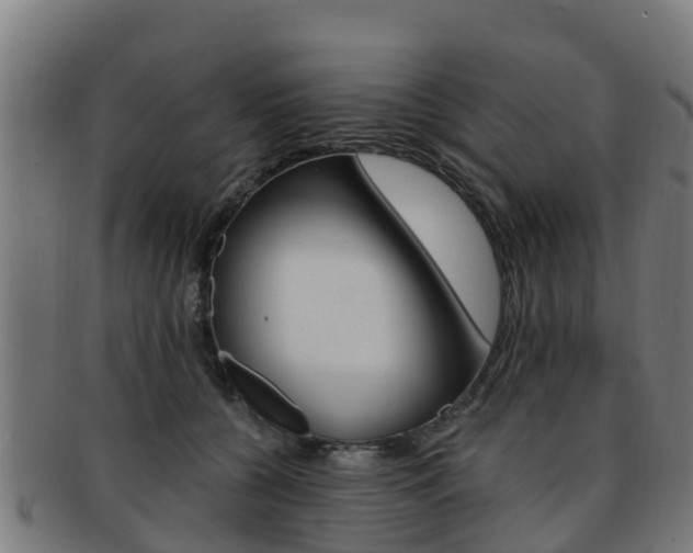 X0000091920560200709051233