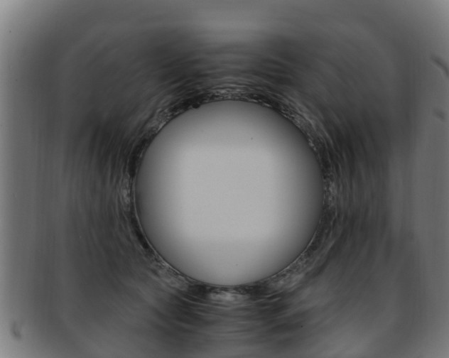 X0000091920561200709051233