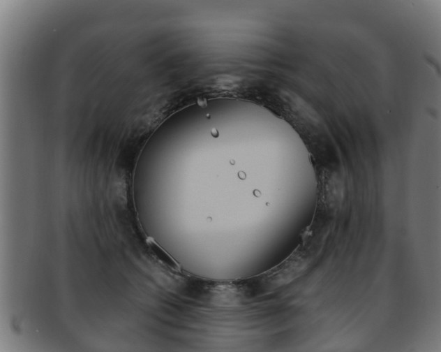X0000091920562200709051233