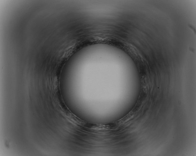 X0000091920563200709051233