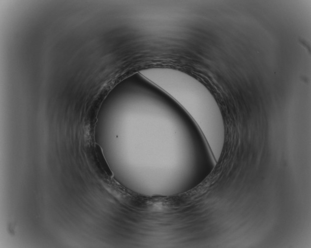 X0000091920564200709051233