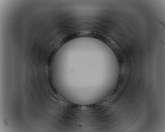 X0000091920565200709051233