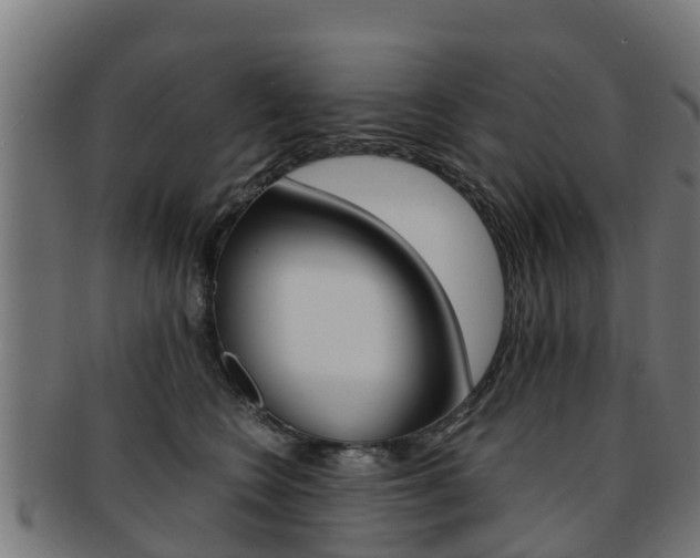 X0000091920566200709051233