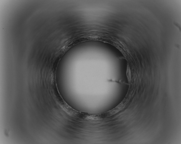 X0000091920568200709051233