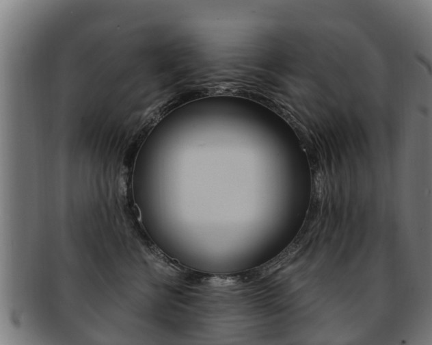 X0000091920570200709051233
