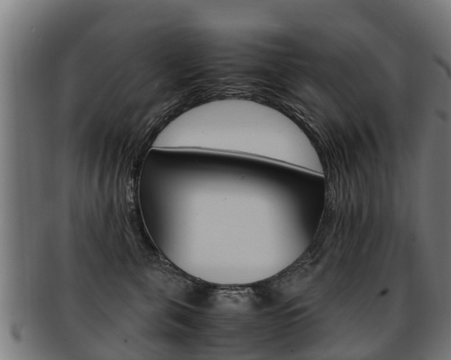 X0000091920571200709051233
