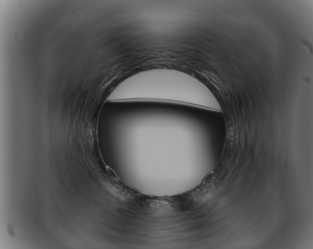 X0000091920572200709051233