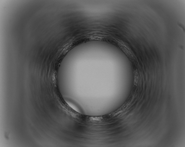 X0000091920573200709051233