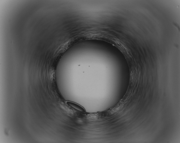 X0000091920574200709051233