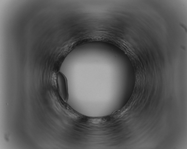 X0000091920575200709051233