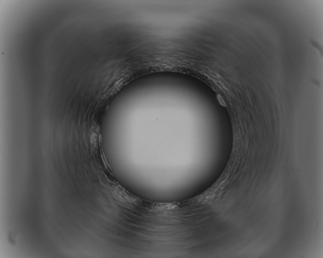 X0000091920576200709051233