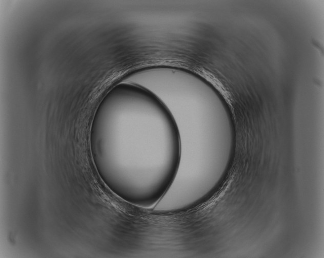 X0000091920577200709051232