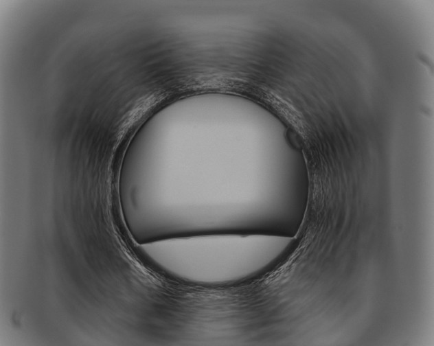 X0000091920578200709051232