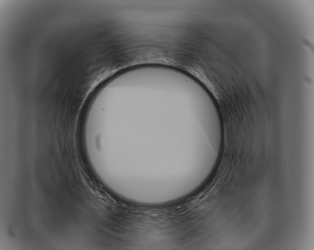 X0000091920579200709051232