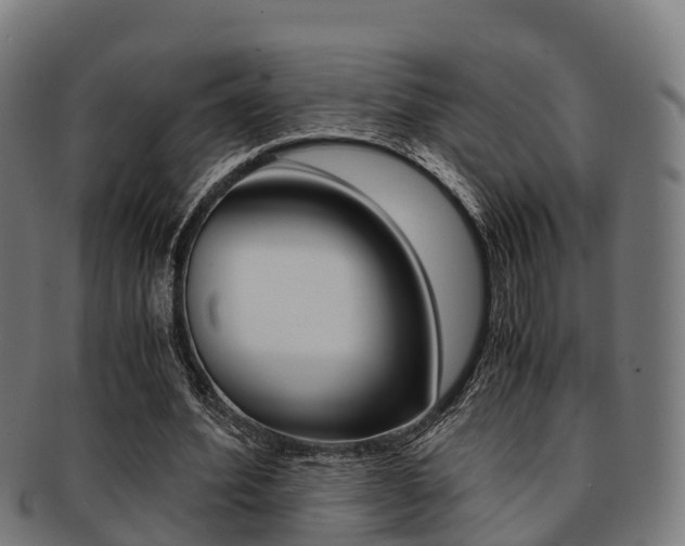 X0000091920580200709051232