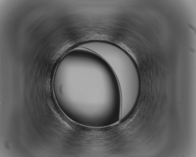 X0000091920581200709051232