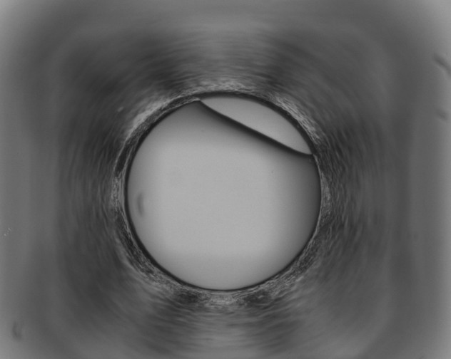 X0000091920583200709051232