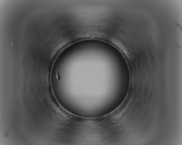 X0000091920585200709051232
