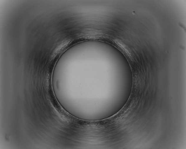 X0000091920586200709051232
