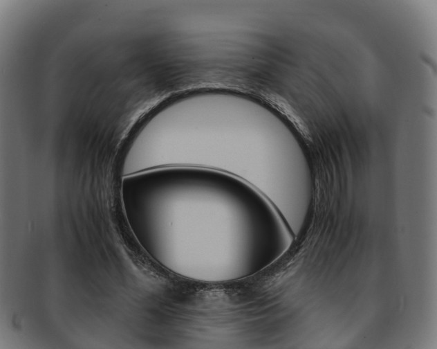 X0000091920588200709051232