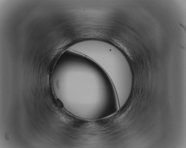 X0000091920589200709051232