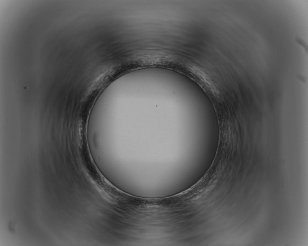 X0000091920590200709051232