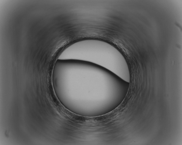 X0000091920591200709051232
