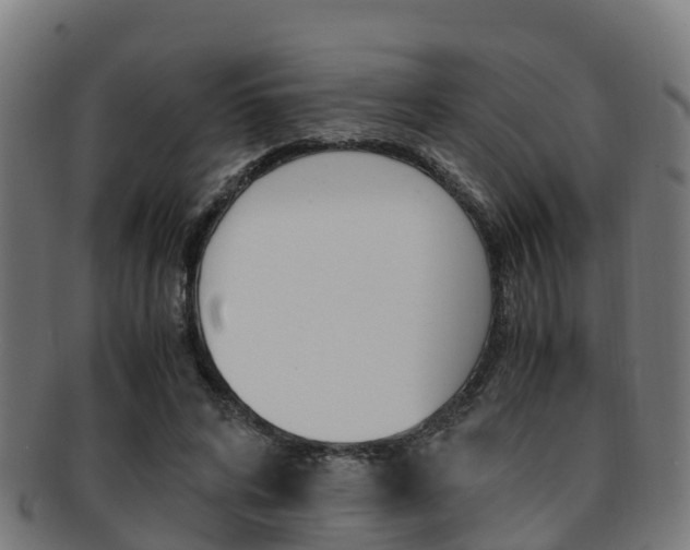X0000091920592200709051232