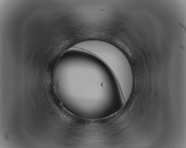 X0000091920593200709051232
