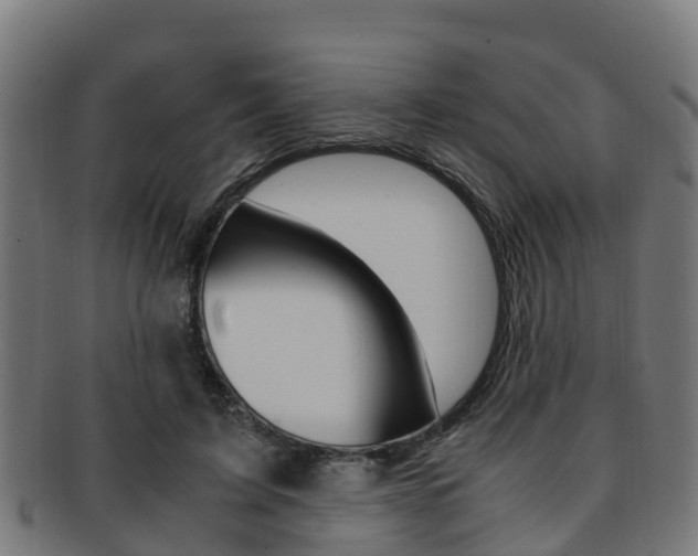 X0000091920595200709051232