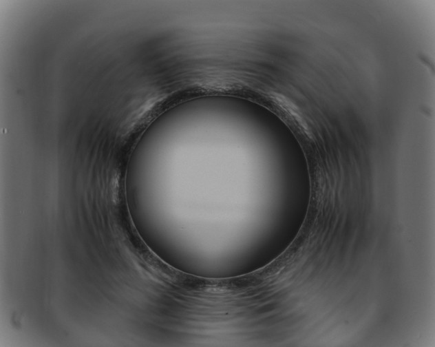 X0000091920596200709051232