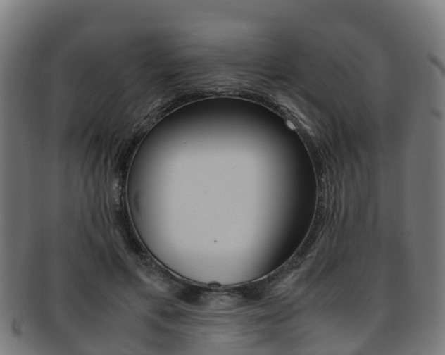 X0000091920597200709051232