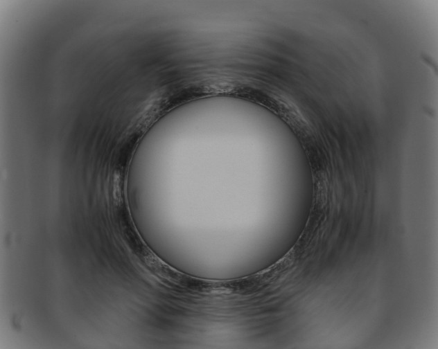 X0000091920598200709051232