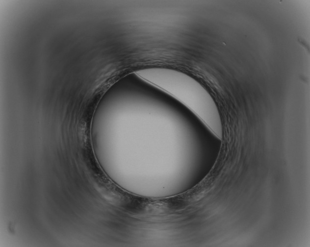 X0000091920599200709051232