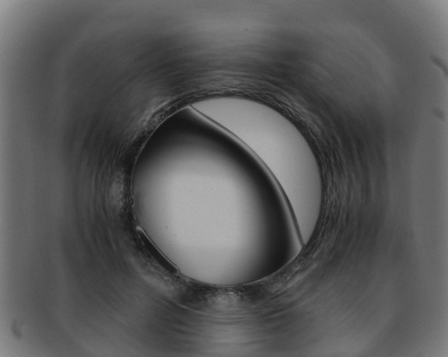 X0000091920600200709051232