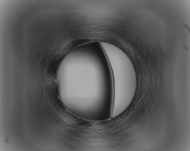 X0000091920601200709051232