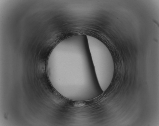 X0000091920602200709051232