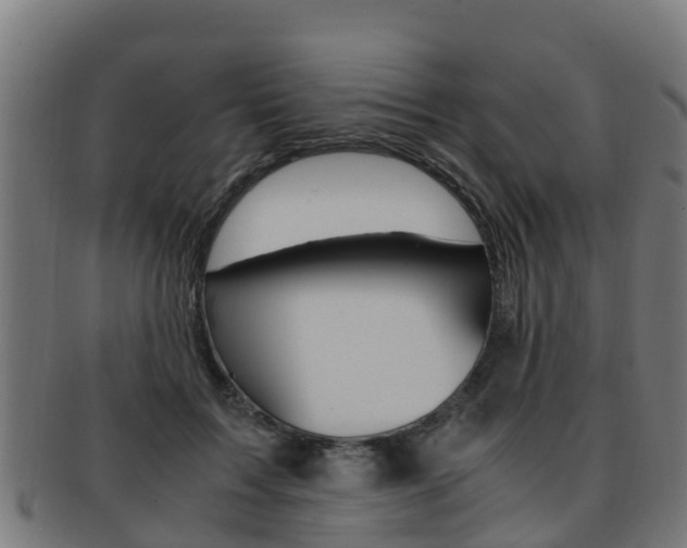 X0000091920603200709051232