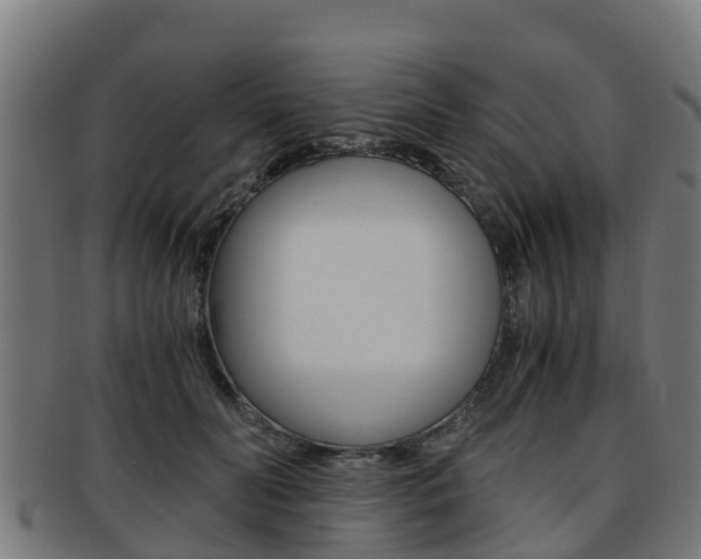 X0000091920606200709051232