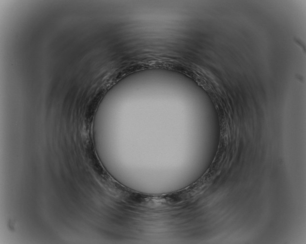 X0000091920607200709051232