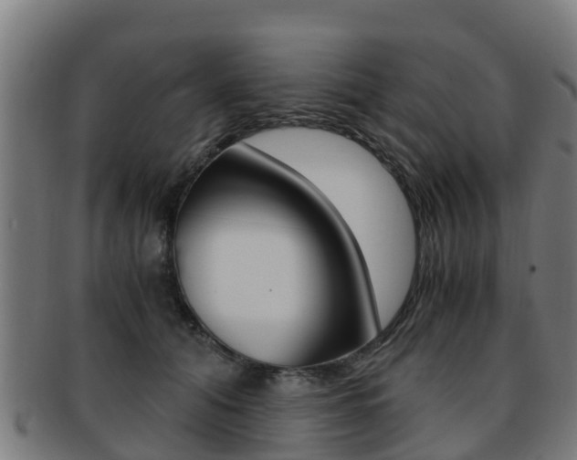 X0000091920608200709051232