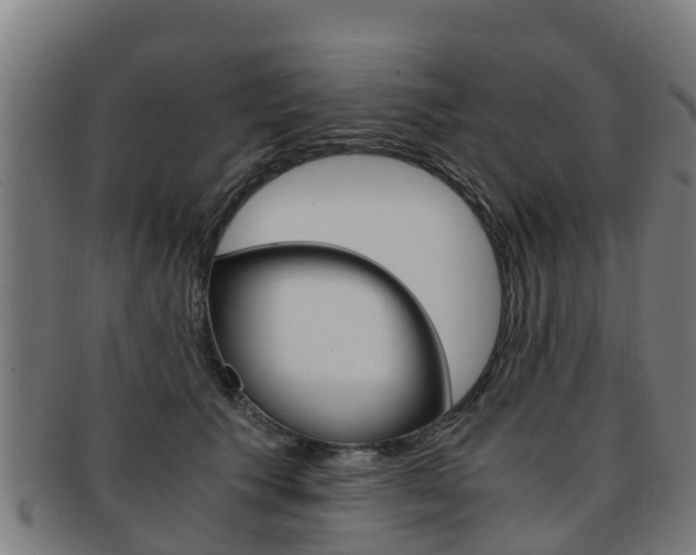 X0000091920609200709051232