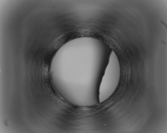 X0000091920610200709051232