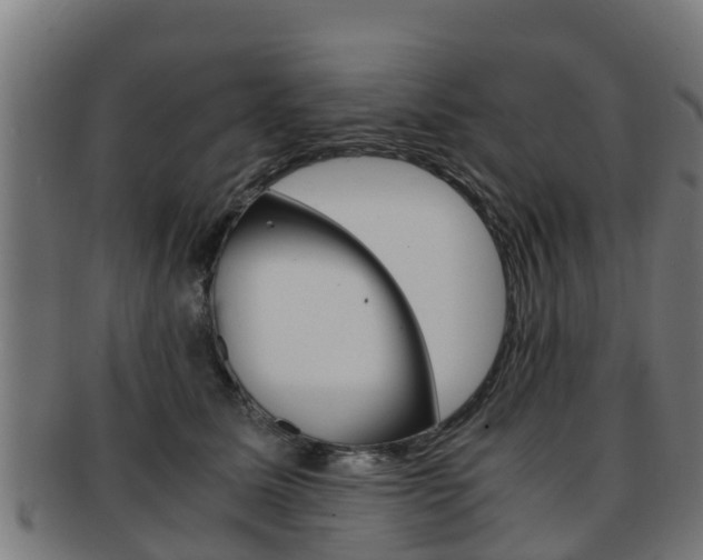X0000091920611200709051232