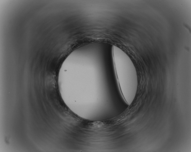 X0000091920612200709051232