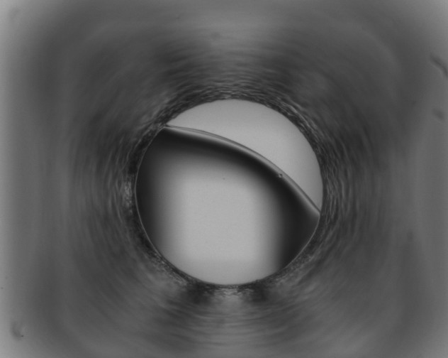 X0000091920613200709051232