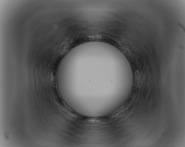 X0000091920614200709051232